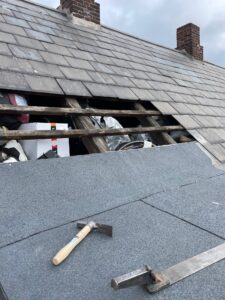 Ny tagpaptag på kvist