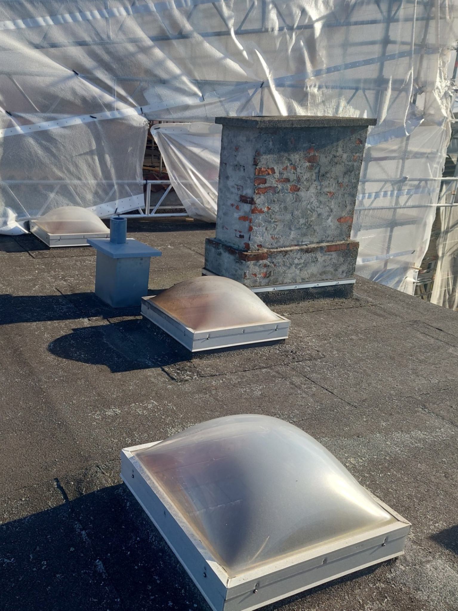 efter rensning mos tag